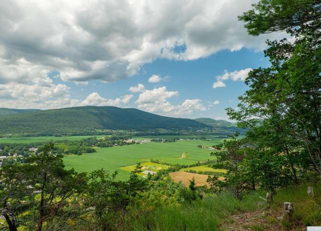 Property at 0 - L16 MT Path, Middleburgh, NY 12122