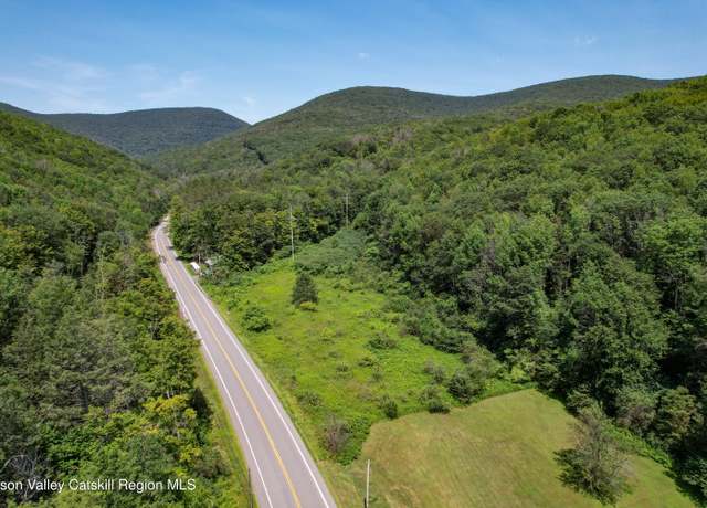 Property at Tbd Route 42, Lexington, NY 12452