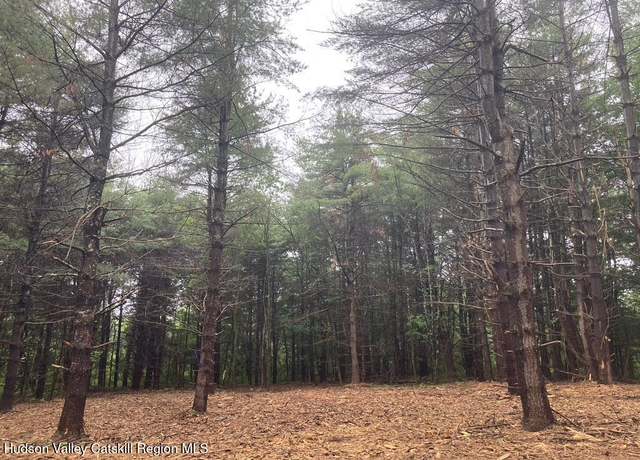 Property at Lot 6 County Rte 51, Coxsackie, NY 12051