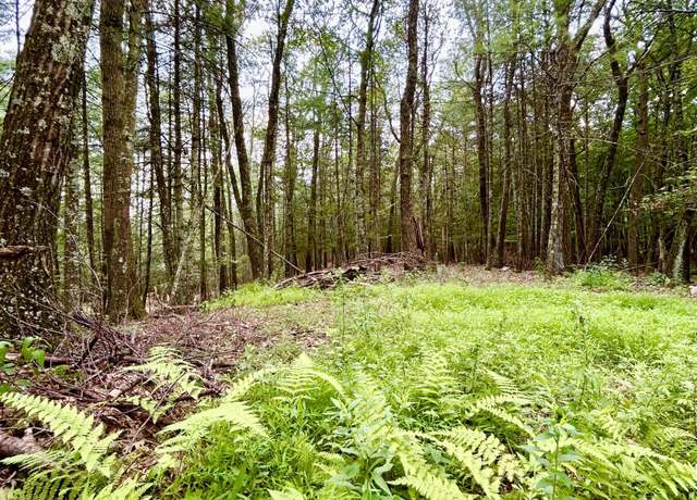 Property at Tbd Laurel Ln, Saugerties, NY 12477