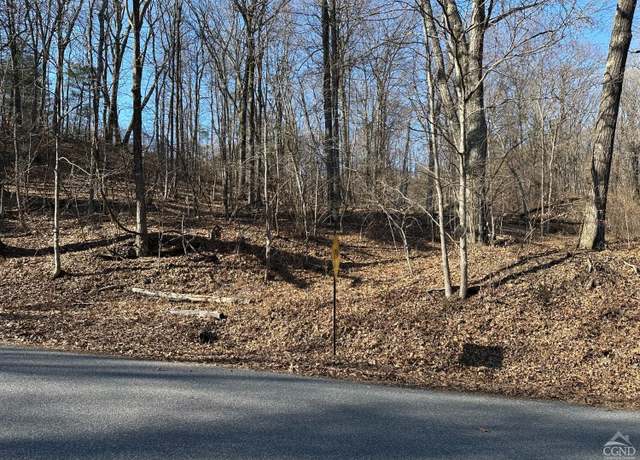 Property at 0 Buttermilk Falls Rd, Athens, NY 12015