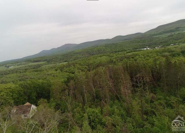 Property at 0 Route 20, Durham, NY 12422