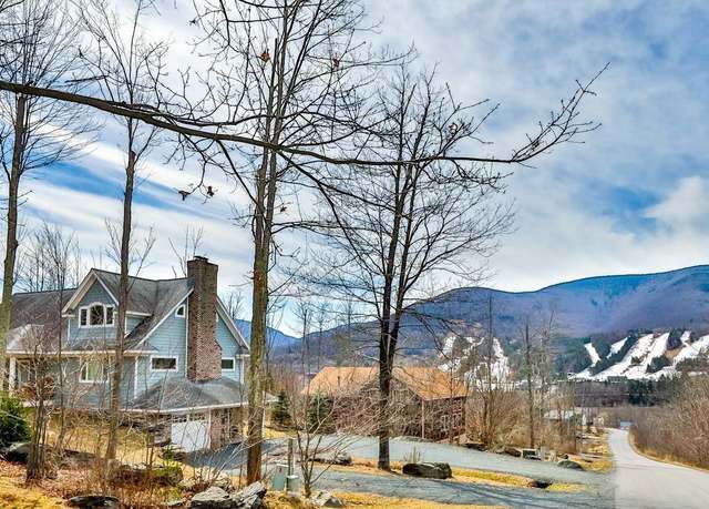 Property at 88 Gaby Ln, Hunter, NY 12442, 4 beds, 4 baths