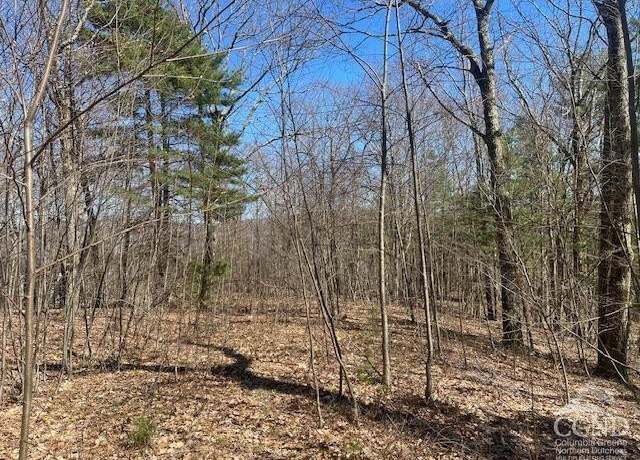 Property at 0 Amy's Ln, Austerlitz, NY 12165
