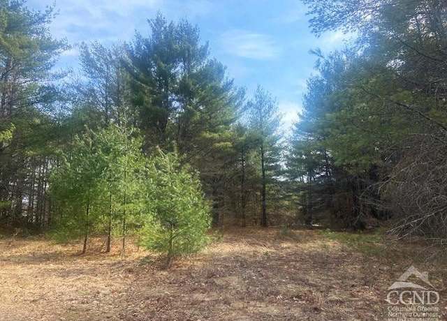 Property at 0 Cangiano Dr, Lexington, NY 12452