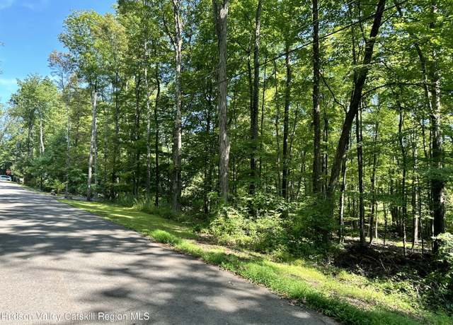 Property at 0 Lot Shagbark Dr, Shokan, NY 12481
