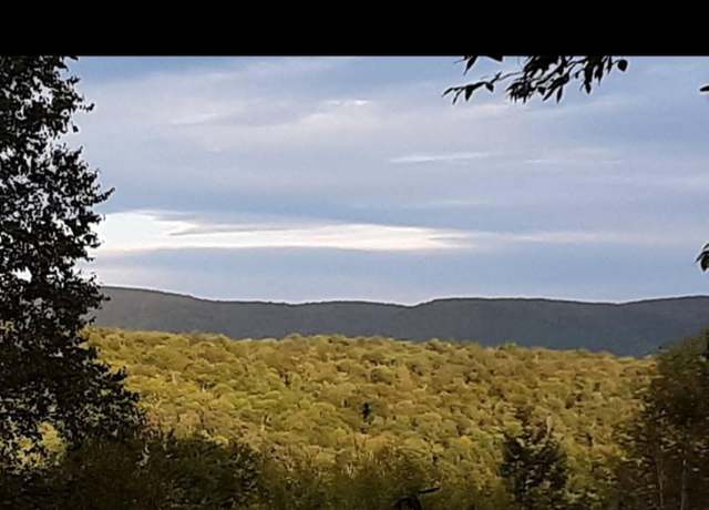 Property at 0 Black River Rd, Stephentown, NY 12169