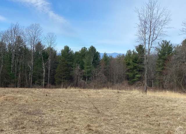 Property at 0 Bate Rd, Craryville, NY 12513
