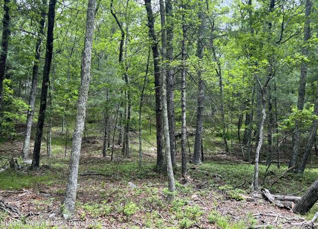Property at Tbd Ny-28a, West Hurley, NY 12491
