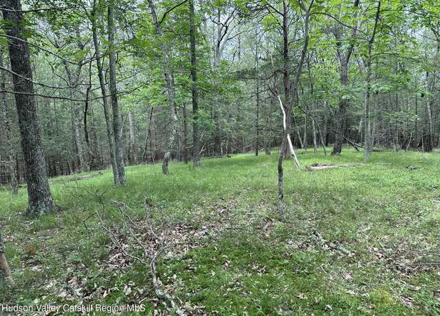 Property at 506 Rivka Rd, Saugerties, NY 12477