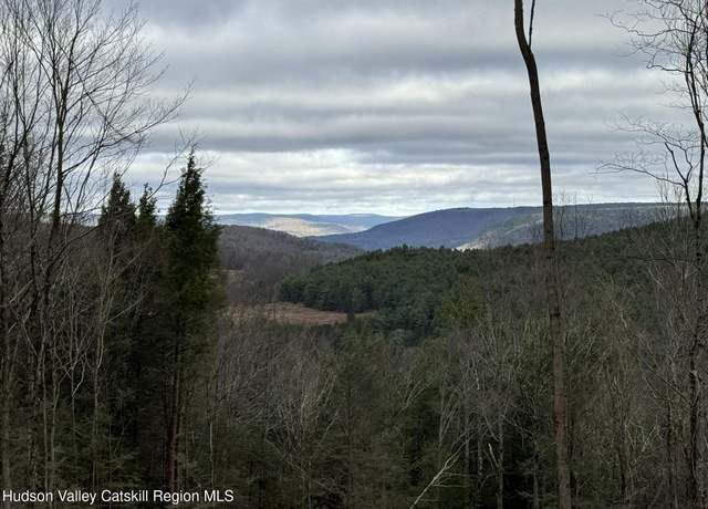 Property at Tbd State Hwy 23, Grand Gorge, NY 12434