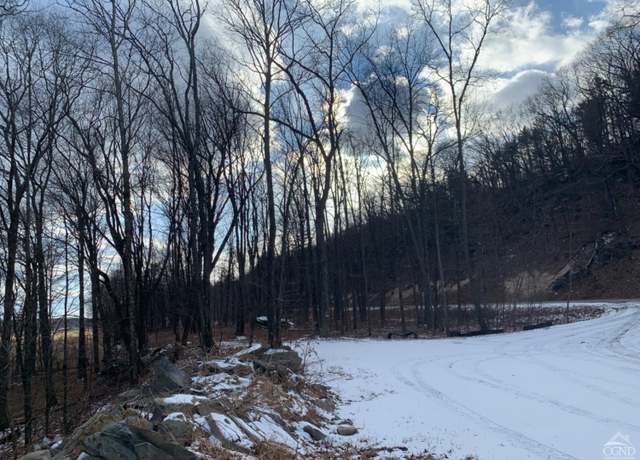 Property at 4770 Route 32, Catskill, NY 12414