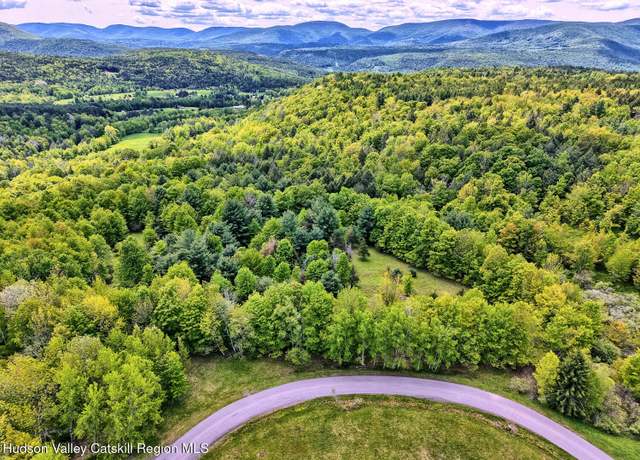 Property at 60 Blueberry Ests, Prattsville, NY 12468