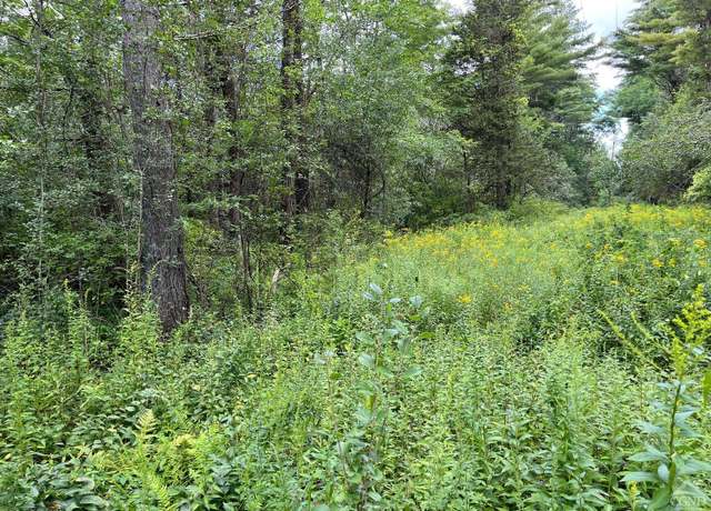 Property at 0 Tbd All Peats Beds Rd, Earlton, NY 12058