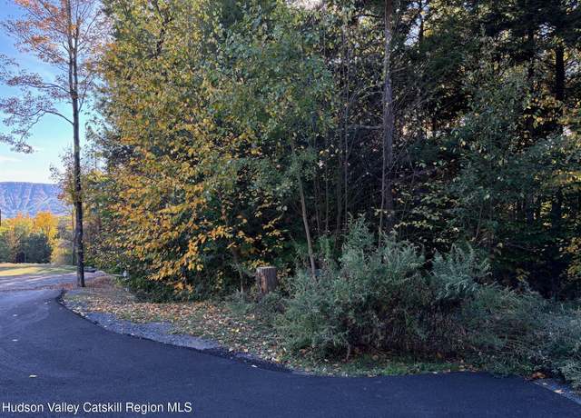 Property at Tbd Hollow View Rd, Windham, NY 12496