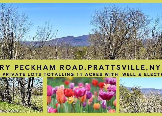 Property at 167 Harry Peckham Rd, Prattsville, NY 12468