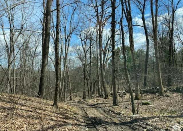 Property at 0 Dickman Farm Rd, Gallatin, NY 12502