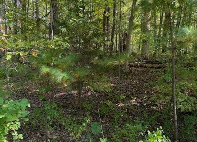 Property at 54 Tommy Trail Trl, Athens, NY 12015