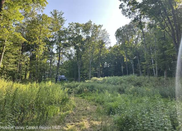 Property at 419 Cauterskill Ave, Catskill, NY 12414