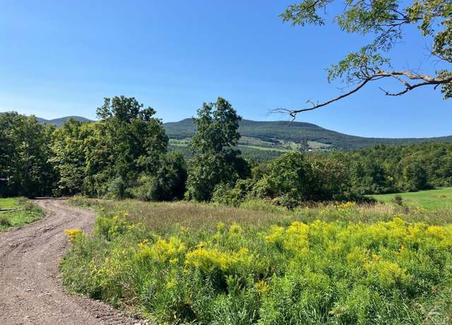 Property at 0 County Route 20, Durham, NY 12422