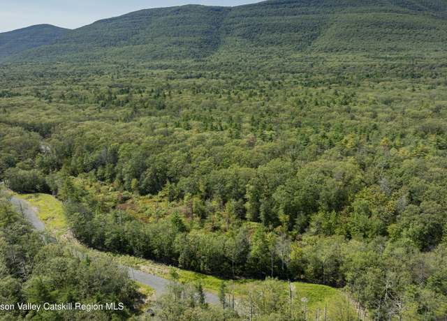 Property at Tbd Mossy Trl, Saugerties, NY 12477