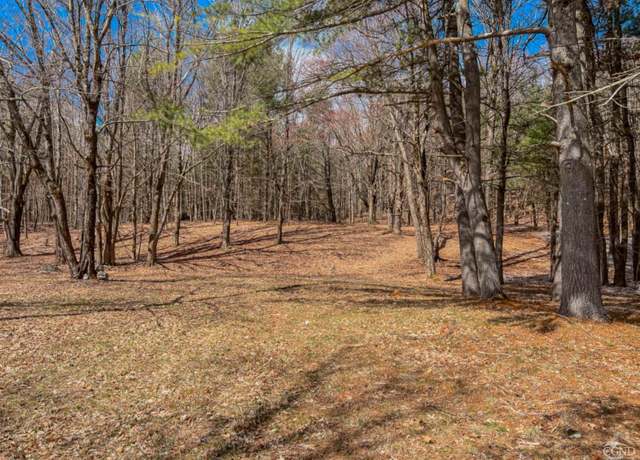 Property at 0 County Route 9, Chatham, NY 12037