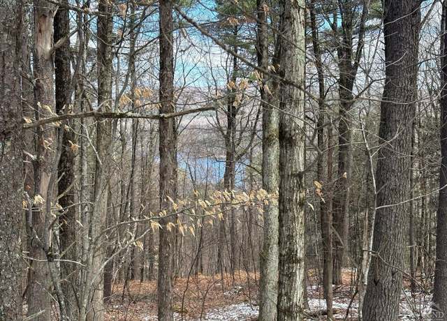 Property at 2320 Route 295, Canaan, NY 12029