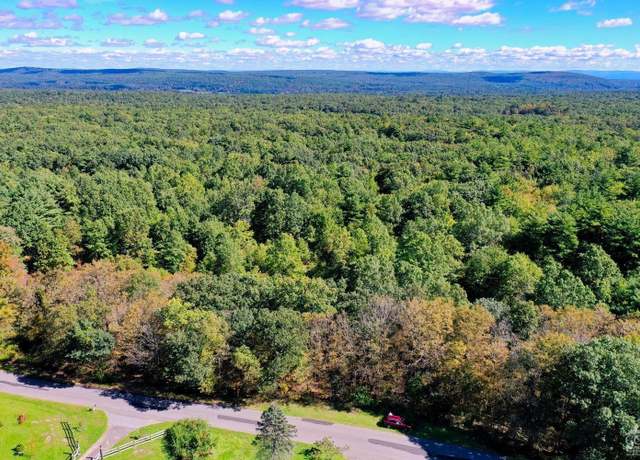 Property at 204 Joel M. Austin Rd, Cairo, NY 12413