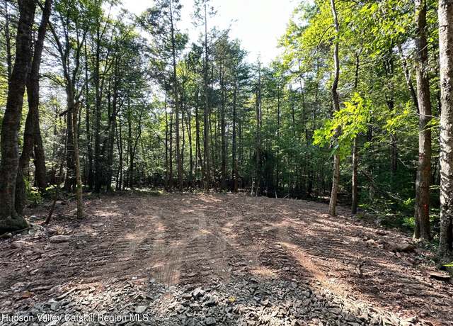 Property at 5305 Route 212, Mount Tremper, NY 12457