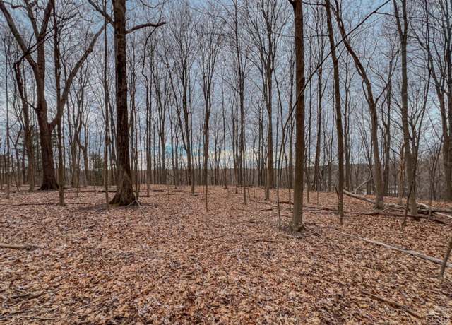 Property at 0 Bunker Hl, Schodack, NY 12123