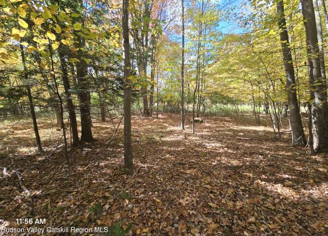 Property at 0 Circle Rd, Windham, NY 12496