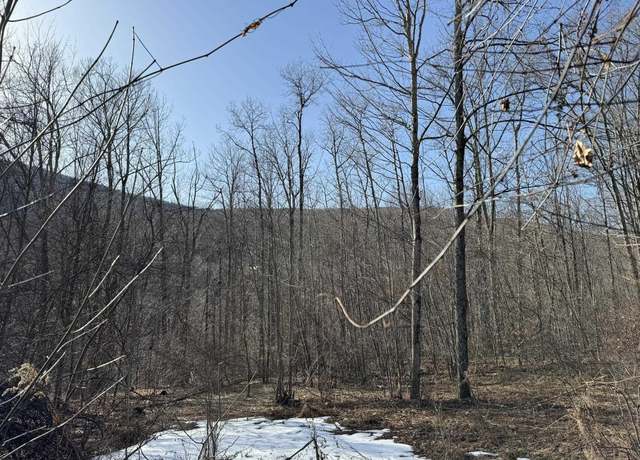 Property at 0 Erika Dr, Shandaken, NY 12480