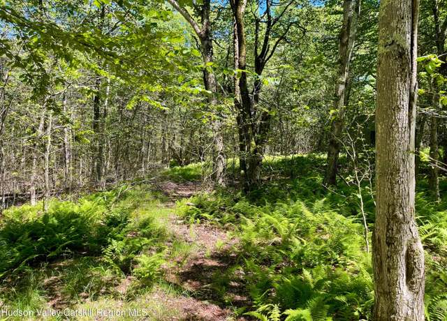 Property at 3045 Red Hill Rd, Grahamsville, NY 12740
