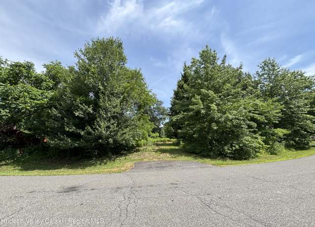 Property at 0 Mcnary Ave, Kinderhook, NY 12106