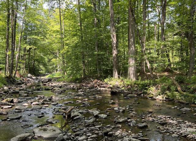 Property at 0 Ny-22, Austerlitz, NY 12017