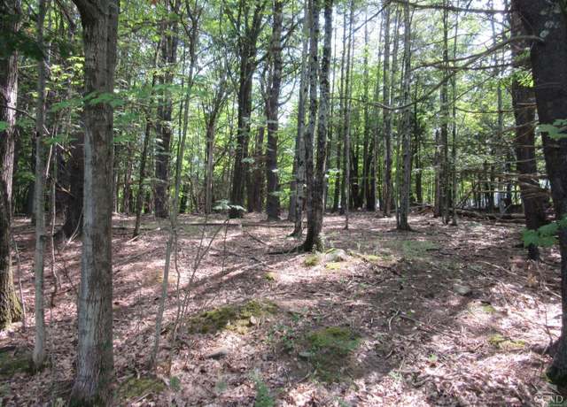 Property at 0 Lakeview Rd, East Durham, NY 12423