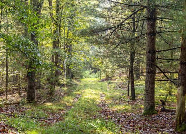 Property at 000 Pine Grove Rd, Kerhonkson, NY 12446