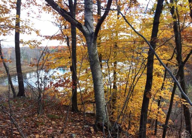 Property at 12 Birch Hill Rd, Copake, NY 12521