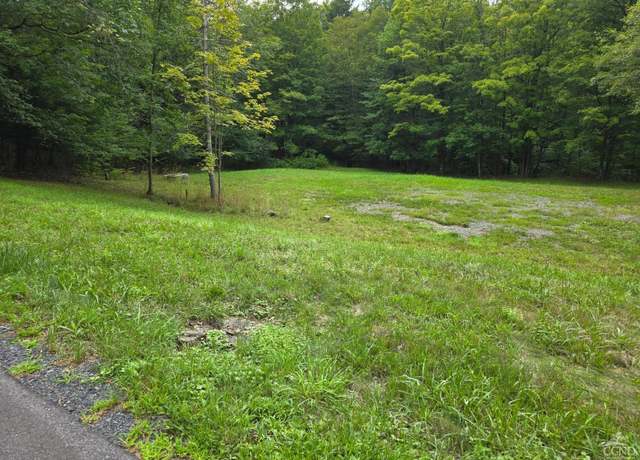 Property at 96 Deyo Rd, Alcove, NY 12046