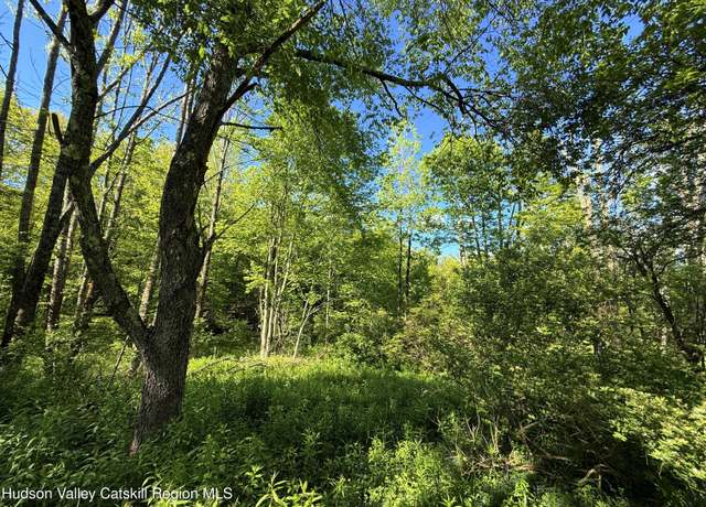 Property at 383 Ferndale Loomis Rd, Liberty, NY 12754
