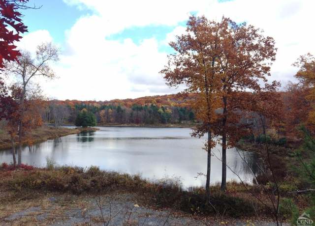 Property at 6 Stonegate Off Birch Hill Rd, Copake, NY 12521
