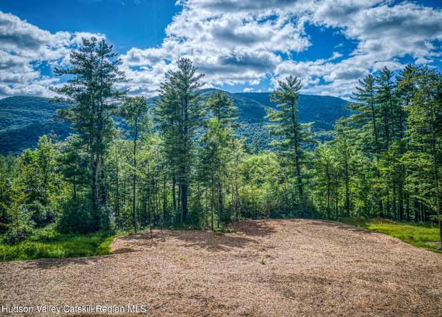 Property at Tbd Carle Rd, Mt. Tremper, NY 12457