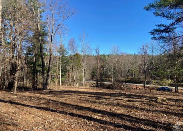Property at 0 Thomas Rd, Craryville, NY 12513