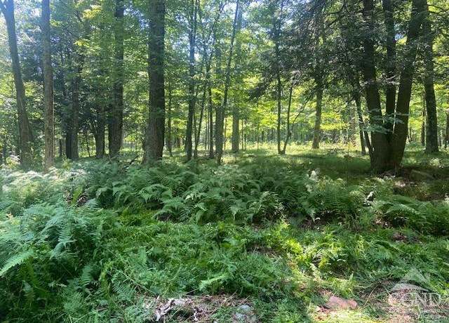 Property at 0 Terrace Dr, Lexington, NY 12452