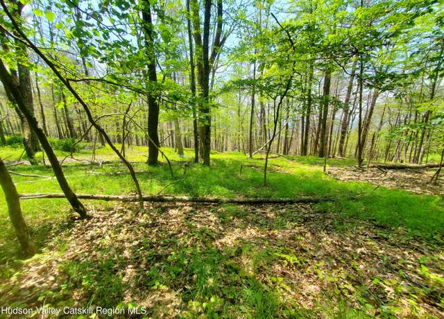 Property at Tbd Piney Ln, Cragsmoor, NY 12420