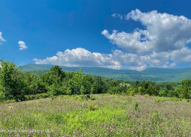 Property at Tbd Strong Rd, Cornwallville, NY 12418
