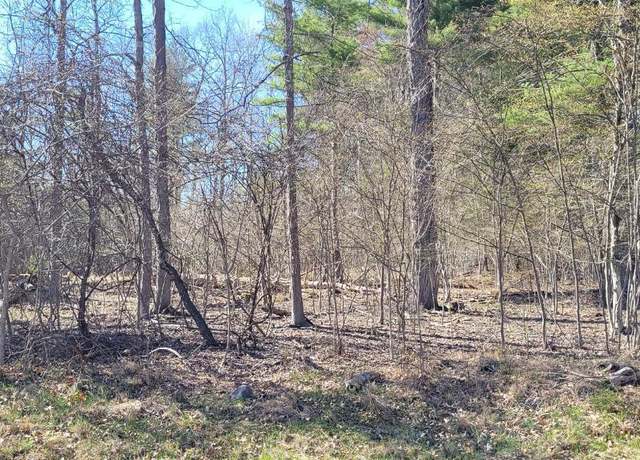 Property at 0 Watcher Blvd, Durham, NY 12423