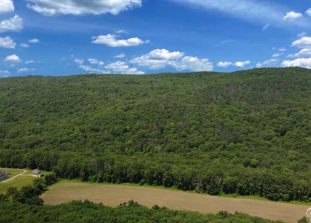 Property at 0 Cascade Mt Perrys Corners Rd, Amenia, NY 12501