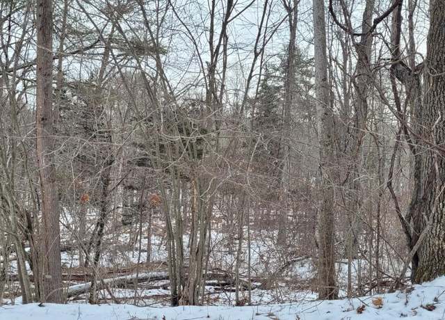 Property at 0 Wachter Blvd, Durham, NY 12423