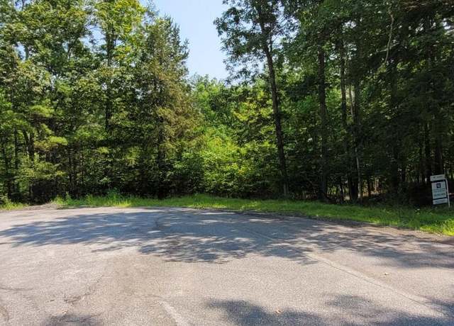 Property at 0 Wachter Blvd, Durham, NY 12423
